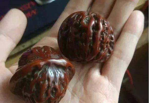 40年的老核桃只盘不刷结果