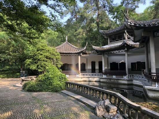 杭州动物园金鱼园：古典园林中赏“鱼之乐”