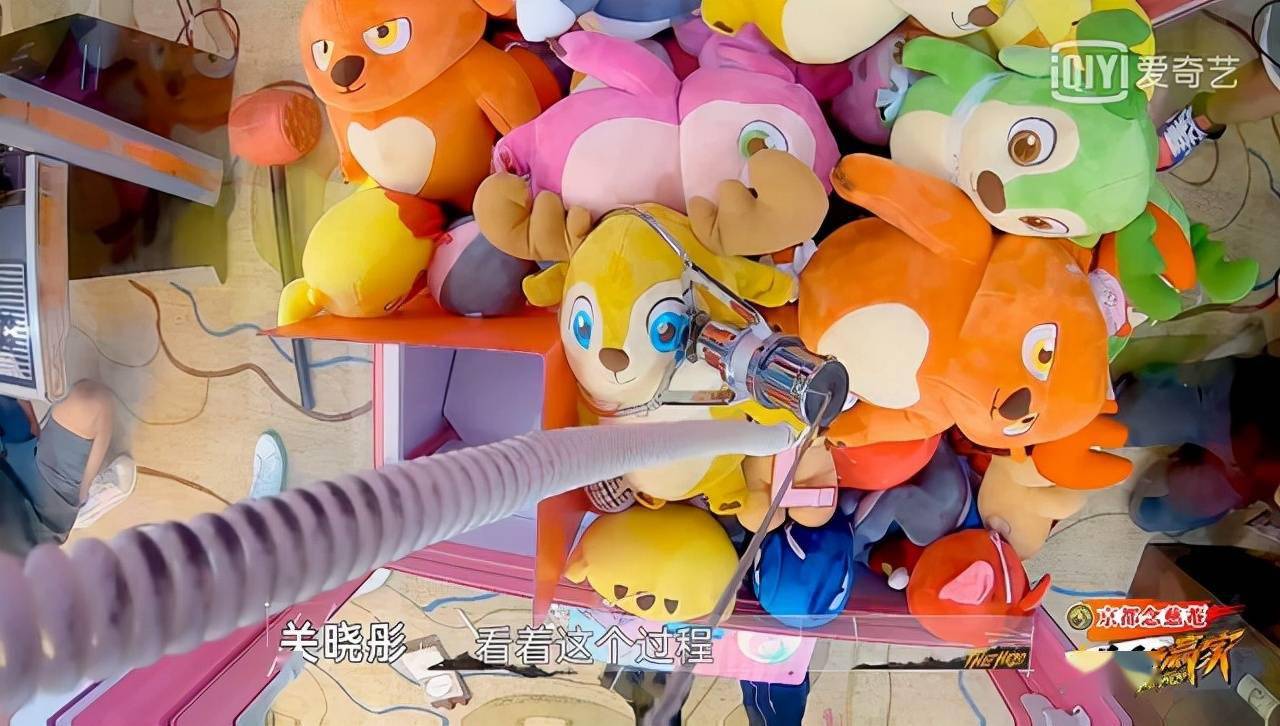 节目组|万万没想到看个综艺还能被撒狗粮，《最后的赢家》节目组真的绝了