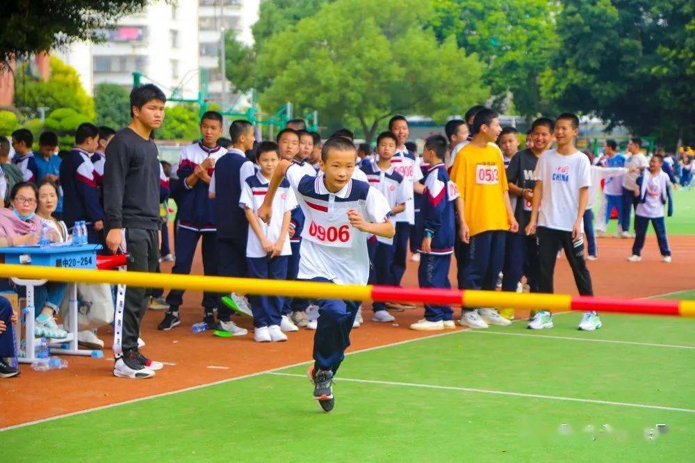 长乐朝阳中学校花图片