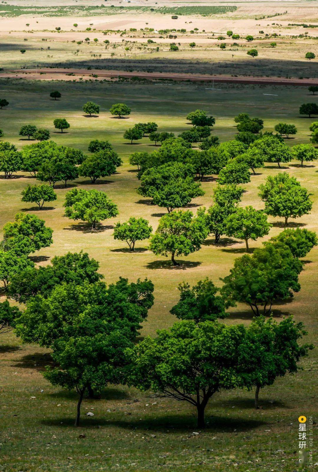 大兴安岭一路向北