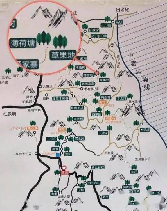 薄荷塘有钱都买不到的易武贵胄卓尔不群无茶可及