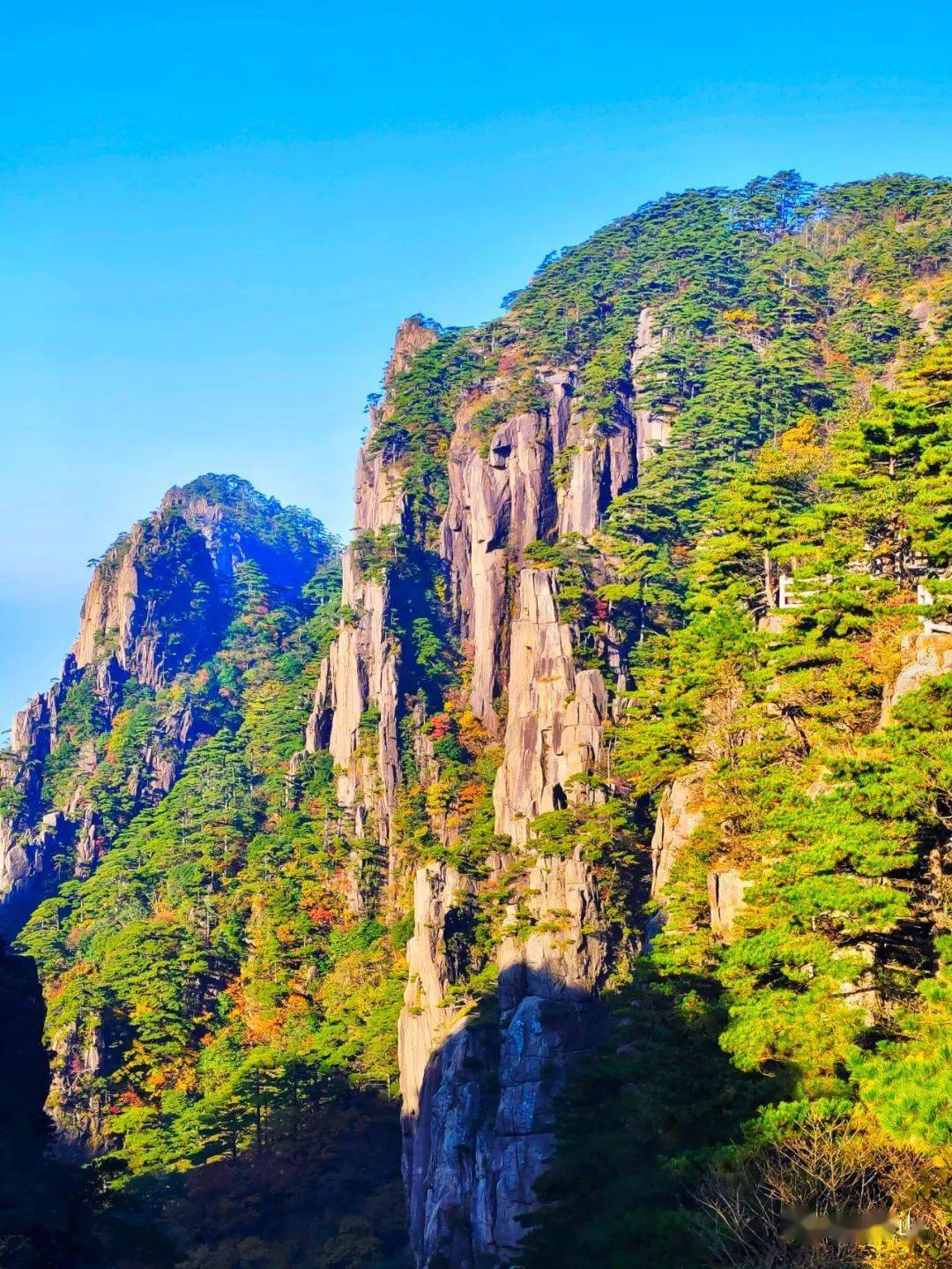 黄山秋景图鉴秋天的颜色这里都有