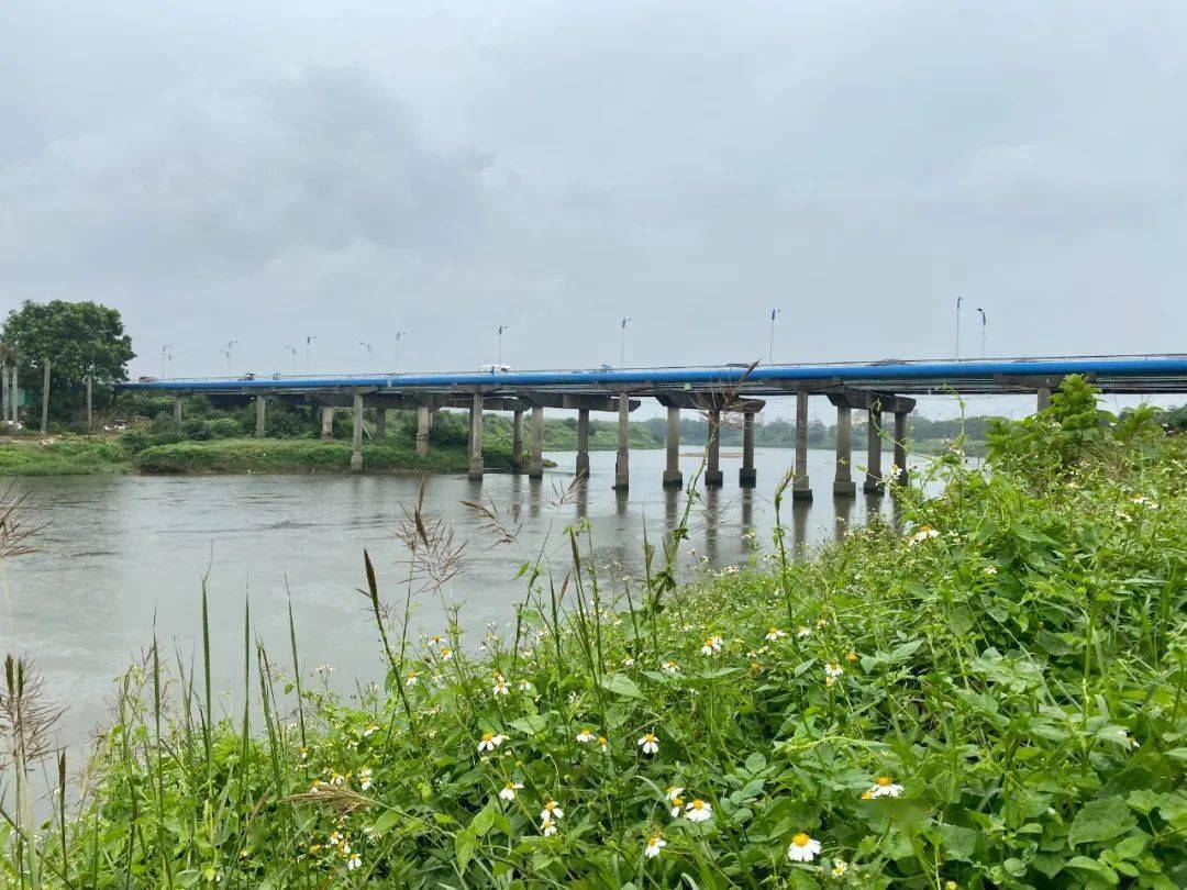 多年的沙河大桥终于迎来了拆除重建,曝光24年前的大桥照片~_园洲镇
