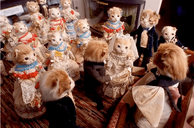 有人怀疑他是用动物标本进行的拍摄,也有人怀疑摄影师是靠着马戏团式