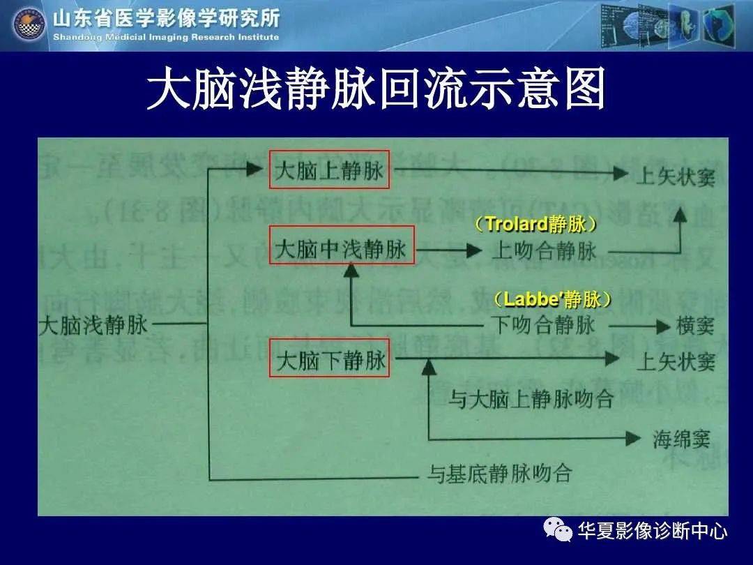 诊断|缺血性脑血管病的影像诊断