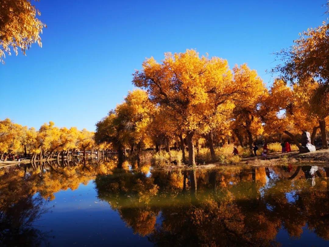 英雄|暖心！他们可终生免费游览额济纳这个景区