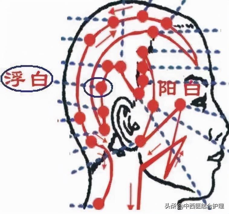 穴位科普101個穴位功效大全快收藏吧