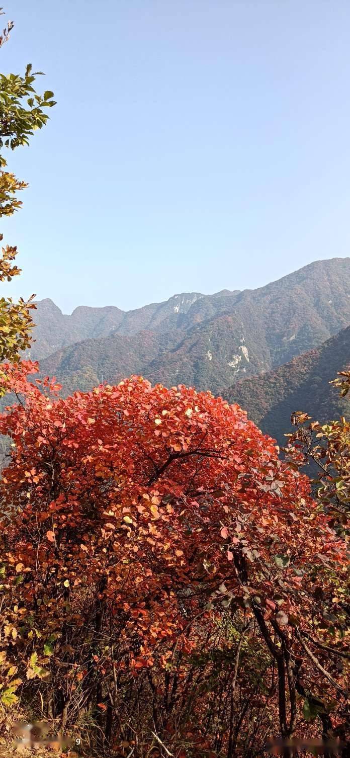 题陕西省西安市鄠邑区风景名胜圭峰山楹联文图李景宁寒阳子