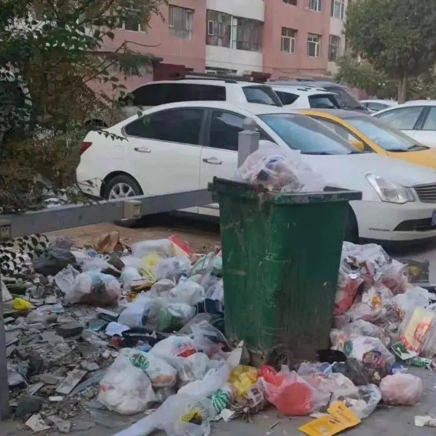 没有物业、垃圾成堆、清洁费收缴难…临河这个小区谁来管?_业主