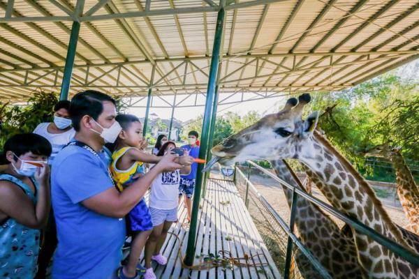 台南親子景點 樹谷農場 平價親子農場近距離親近動物 羊咩咩 梅花鹿 兔子 鴕鳥 超過10種動物餵食樂趣多 1 1 3 玩學樂生活 痞客邦