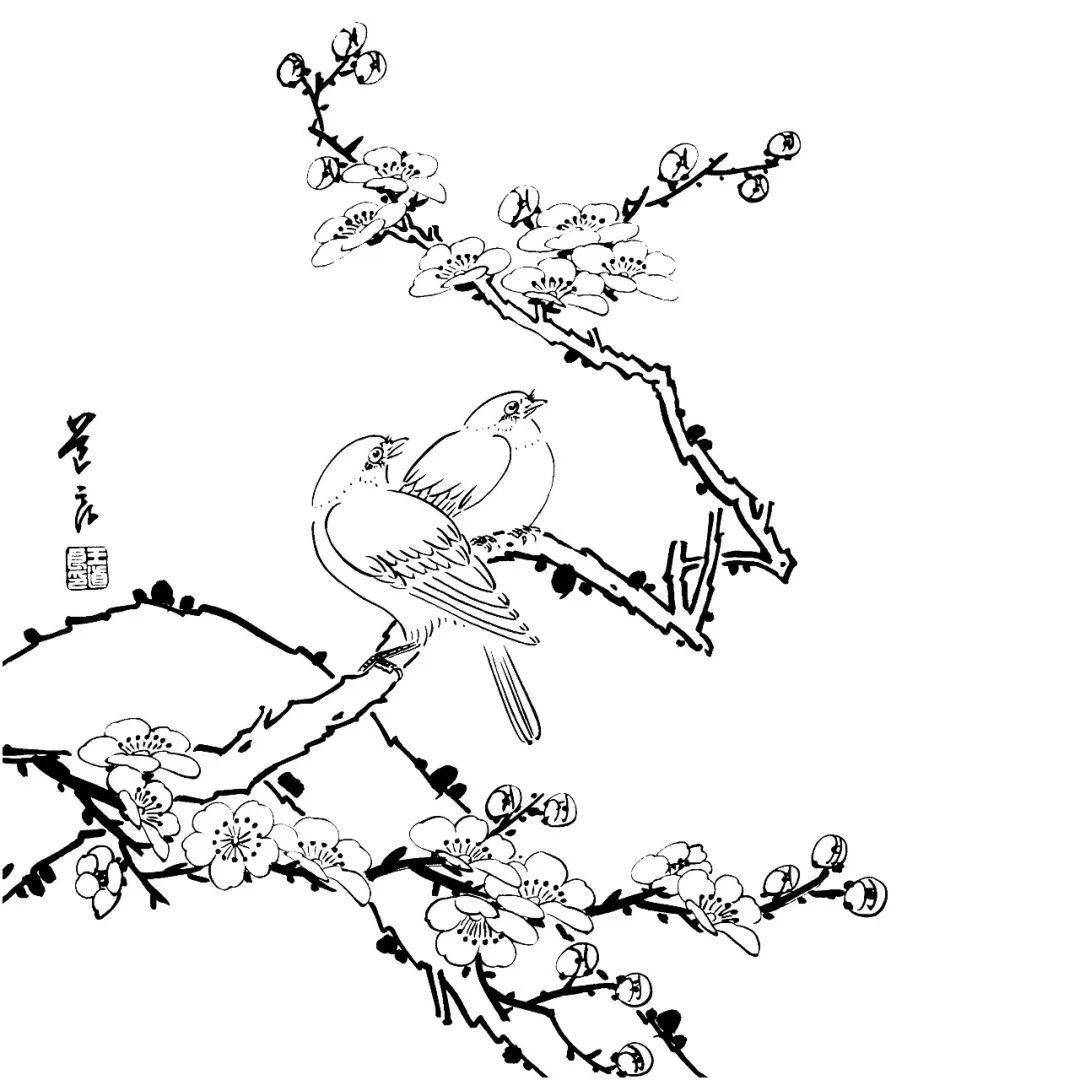 工笔花鸟白描素材,可要收好了!_高清