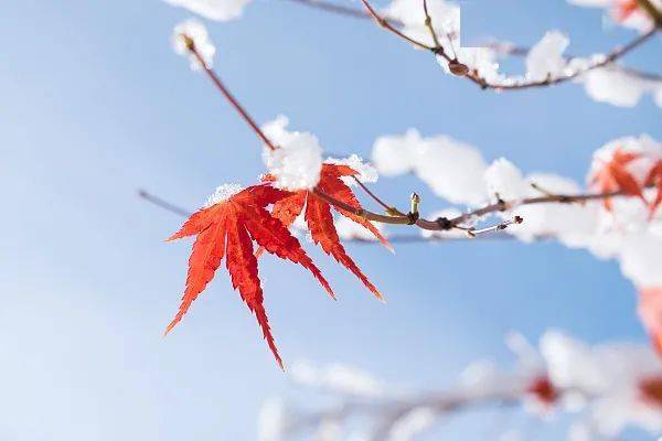 剑术|林清玄：永远保留一只眼睛看自己