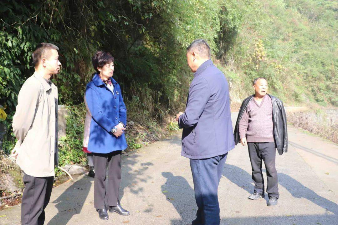 张永凤赴采花乡开展巡河工作和调研指导乡村振兴工作