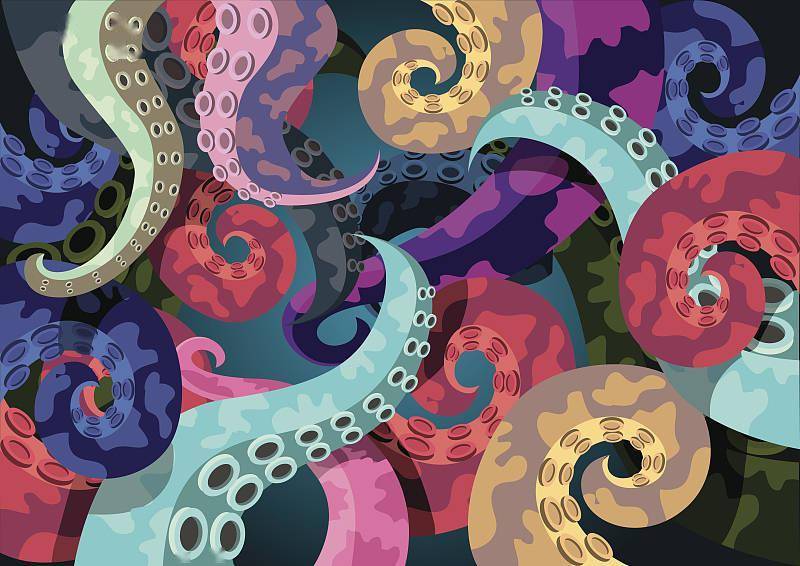 身体|周理乾读《章鱼的心灵》︱淘气章鱼的九个自我