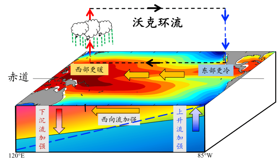 拉尼娜大气环流图片