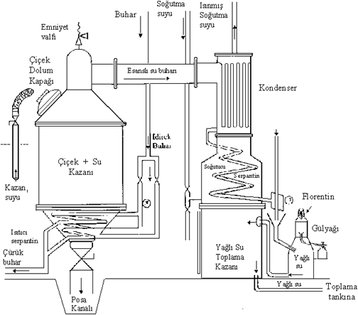 优惠【129元2瓶】土耳其总统代言的国宝级玫瑰水!买一赠一!