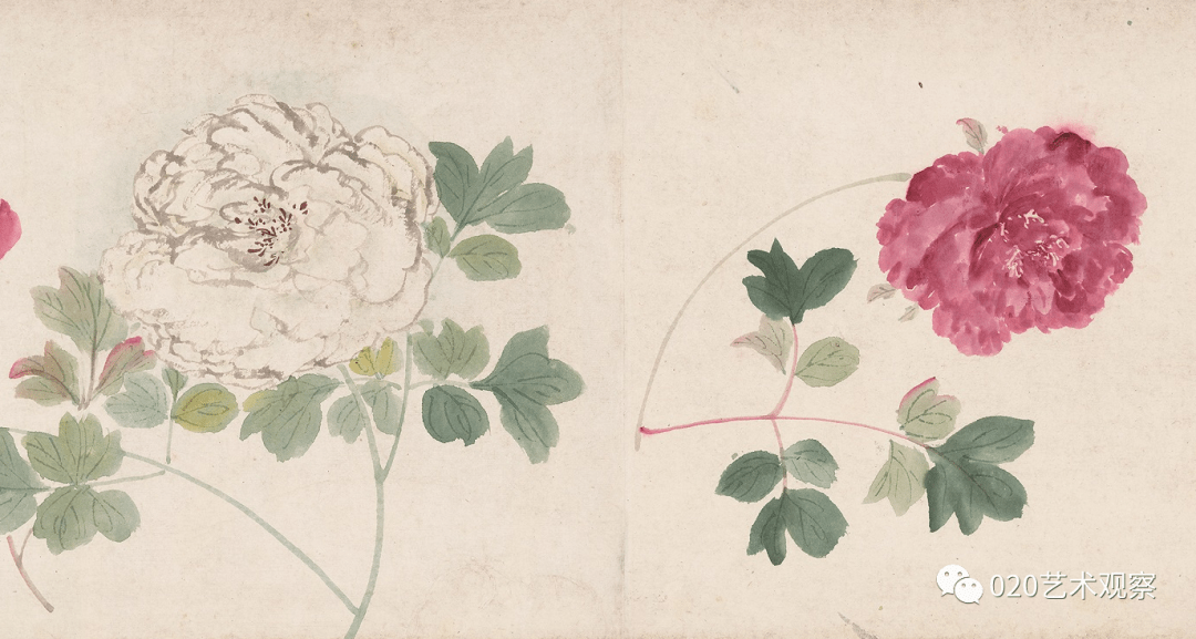 欣赏 |17米旷世巨制《百花图卷》何以成为中国花卉画史上的“百花之王”？_周之冕