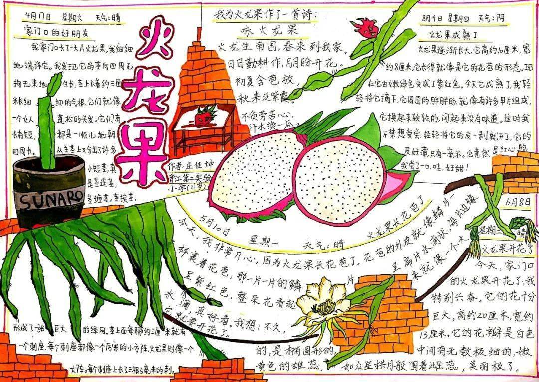 美丽中国我是行动者2021年福建省青少年自然笔记征集活