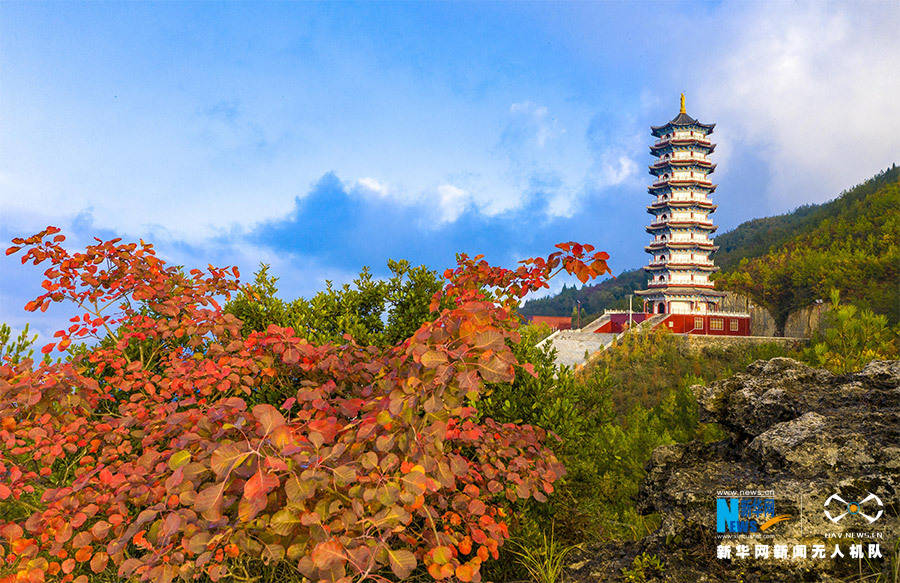 落日|红叶出云海 重庆云台寺秋色美