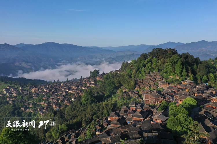 银杏树|贵州：悦赏乡景 寻入自然秘境