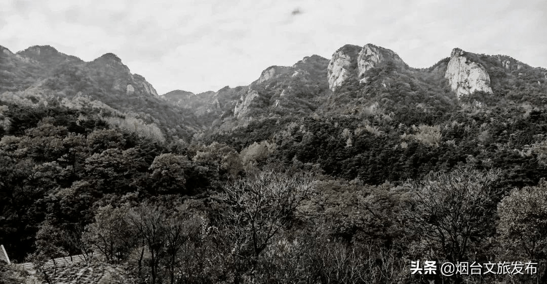 指尖|指尖魔法！一键点亮烟台景区绝美秋景大片，解锁屏保级美景！