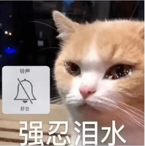 什么|豆瓣9.0，本季最火日剧一集入坑！