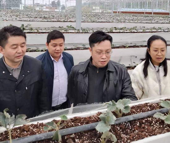 考察组参观贵定县沿山镇蔬菜种植标准化基地考察组实地走访考察了乡村