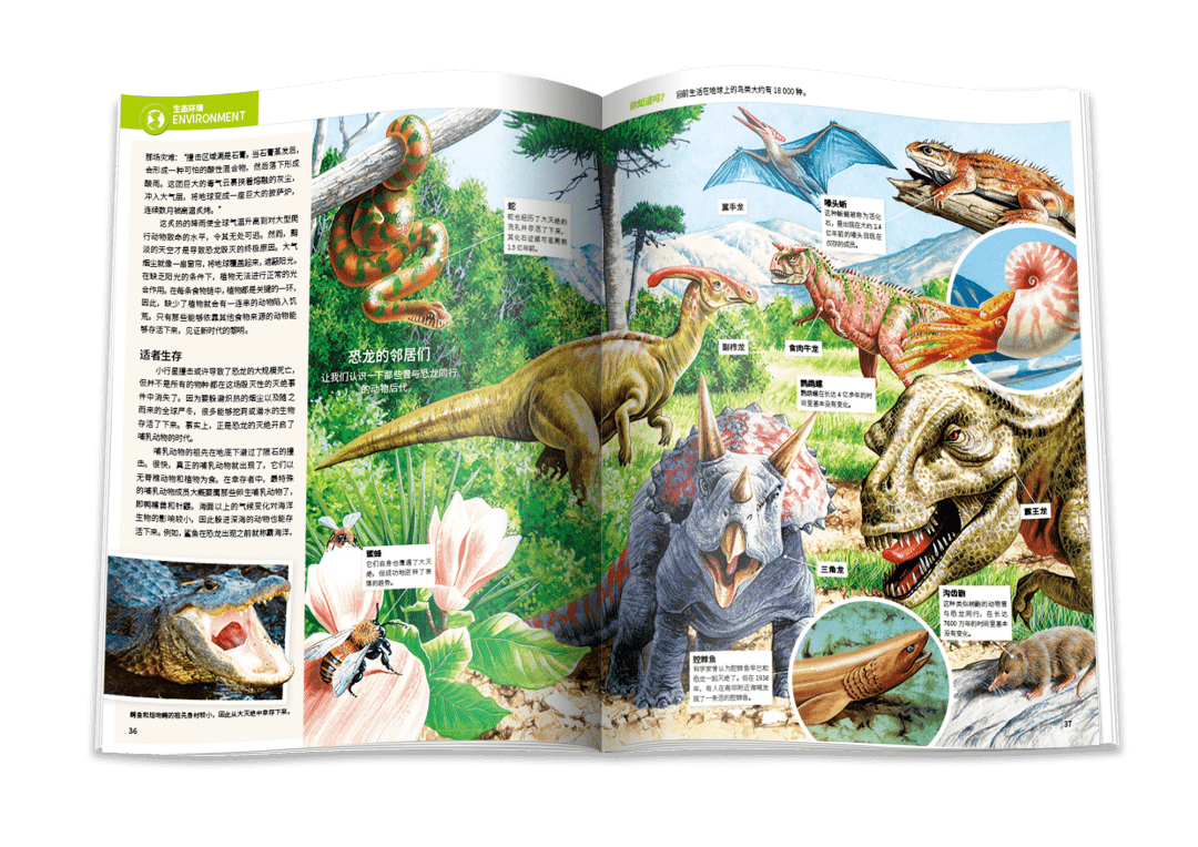 杂志|全球青少年都在看的科学杂志《万物》，承包一整年的科学知识