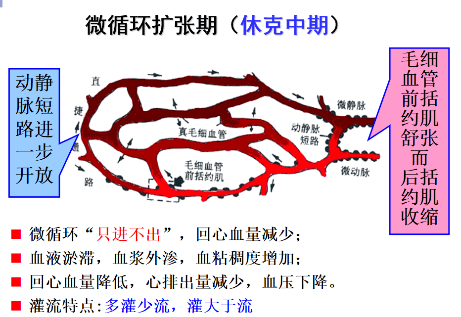 61微循环扩张期(淤血缺氧期 抑制期(休克中期)61微循环收缩期