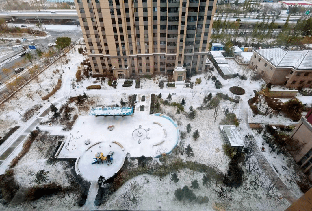 积雪|呼和浩特迎来今冬首场降雪！朋友圈一片银装素裹，美成这样...