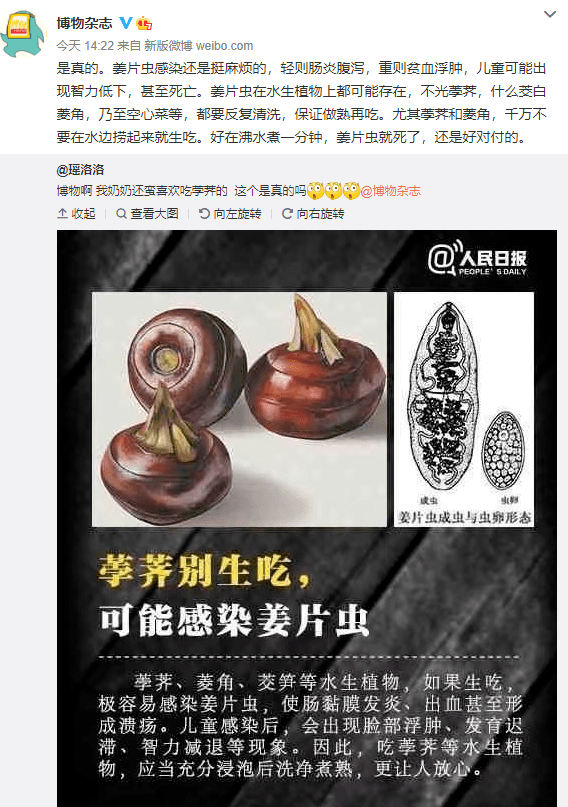 马蹄生吃有寄生虫图片图片