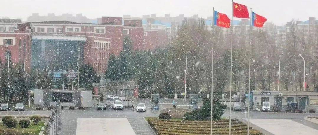 立冬|强雨雪!寒潮!你需要这份入冬指南_天气