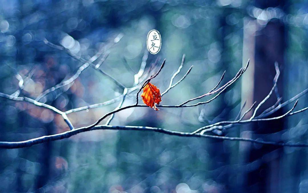 立冬 写给冬天 江南金