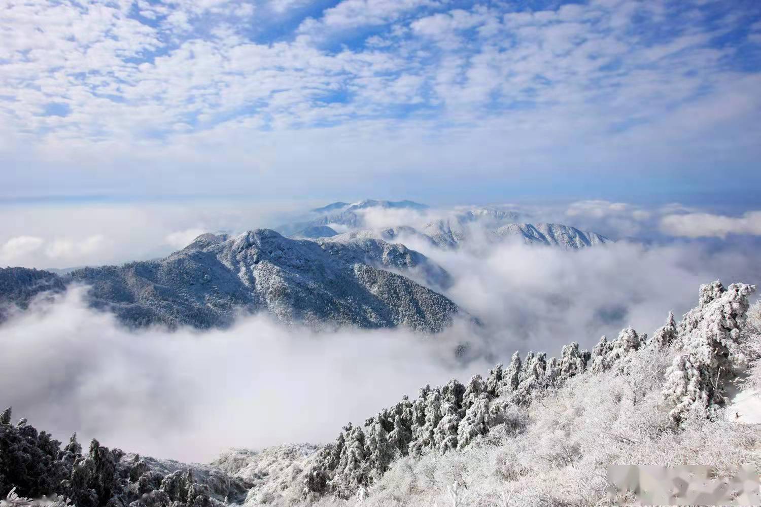 “南岳衡山”高铁冠名列车上海驶发！寿比南山邀上海游客今冬来赏雪