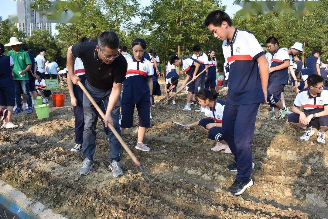 摄影:海宁市高级中学 汤一礼摄影:嘉善县城西小学 陶晔婷田间地头的"