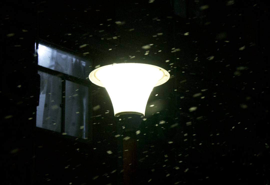 它模糊了雪凌厉的边界,光影依旧嵌落在雪夜中.