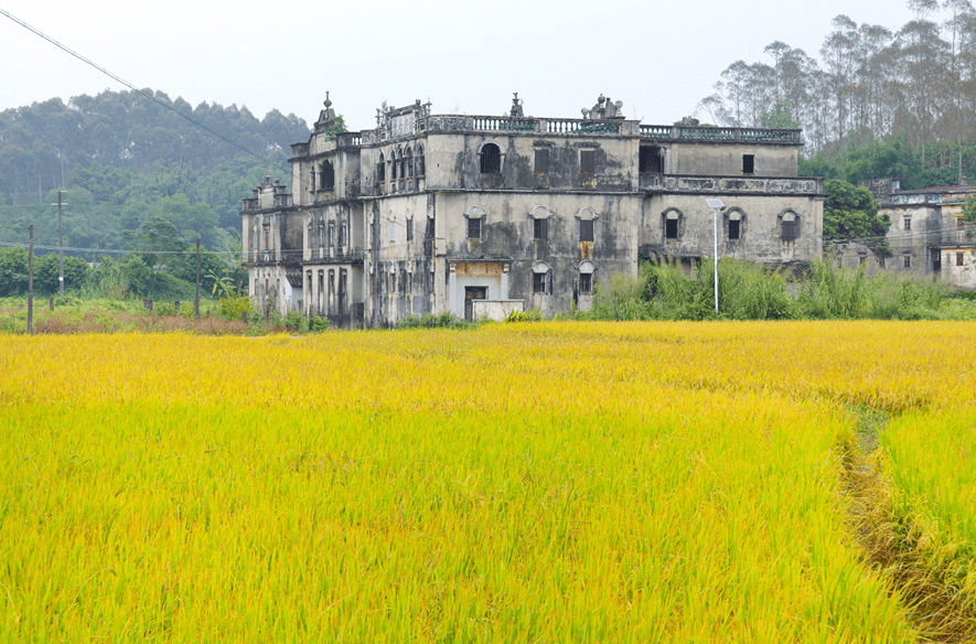 伟宗江门，处处好“丰”景！