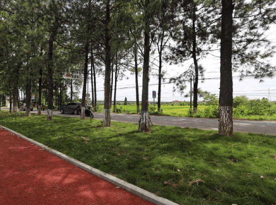 这里是南昌高新区麻丘镇宝塔村.