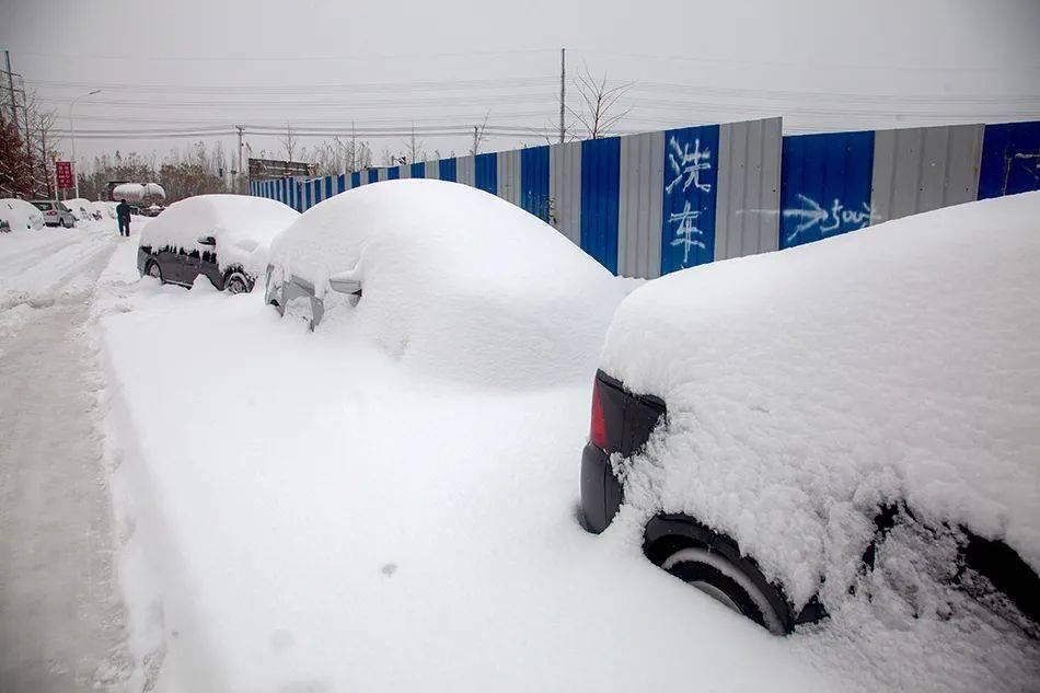 2021年11月8日,沈阳,市民在暴雪中出行.