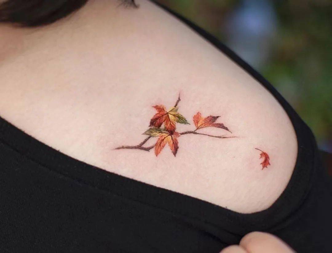 一叶知秋的枫叶纹身_枫树