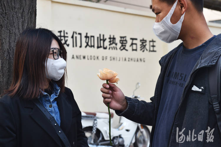 小街|河北石家庄：老街巷里的新风景