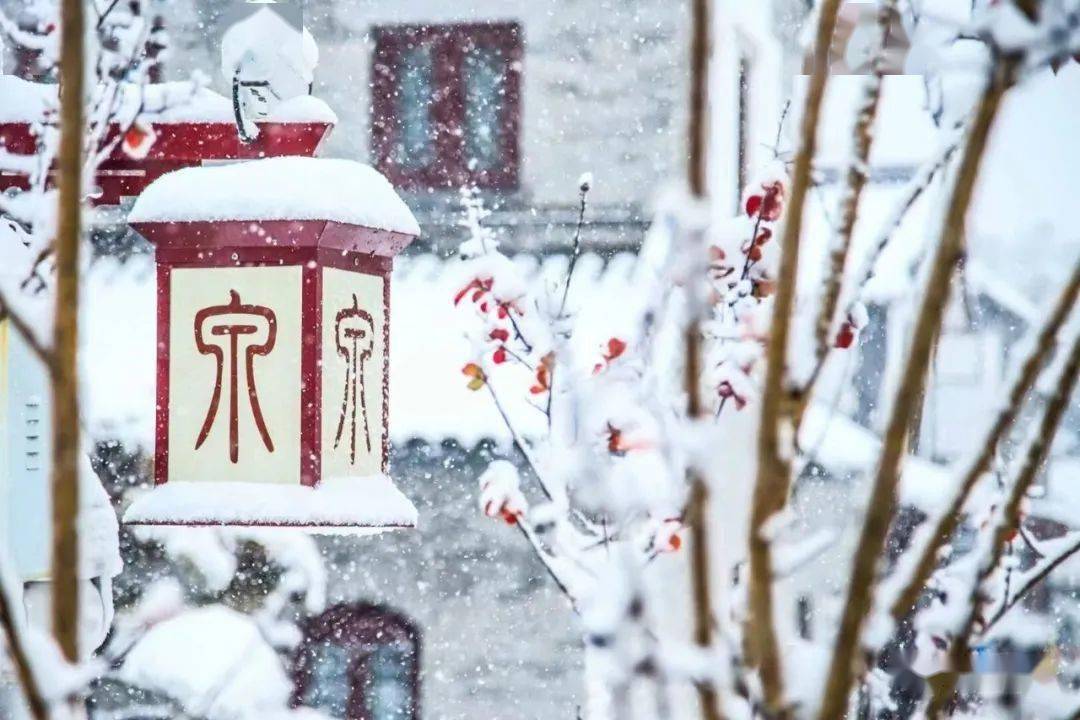 网友|济南雪景美上热搜!网友:一下雪,济南就成了济南府