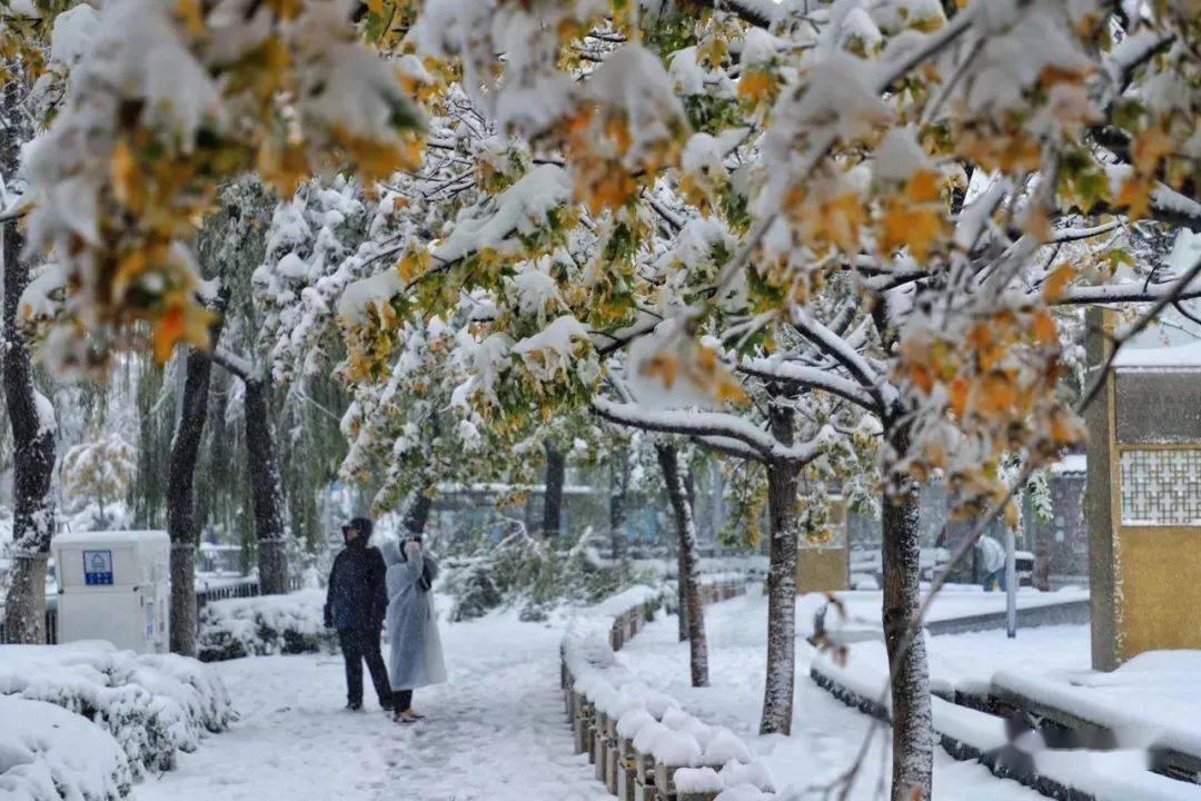 网友|济南雪景美上热搜!网友:一下雪,济南就成了济南府