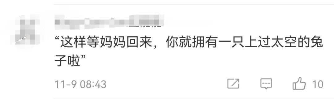 网友|舱内画面拍到王亚平带的小兔子，网友：新凡尔赛