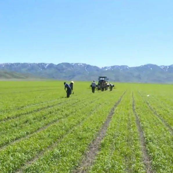 如何提高农业银行卡每日限额