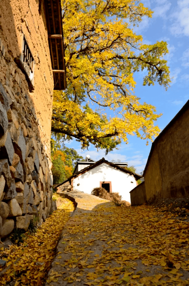 临川美景图片