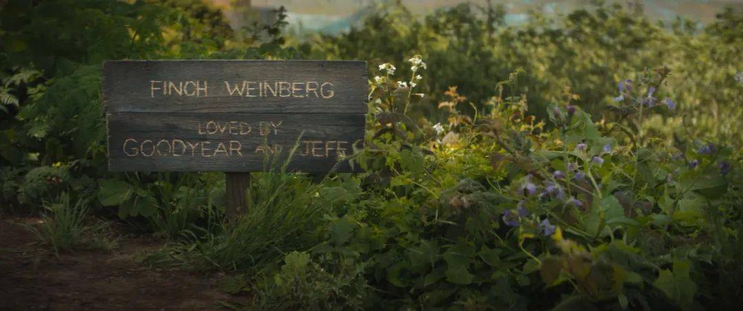 大脑|疲了一年的好莱坞大片，终于硬起来了