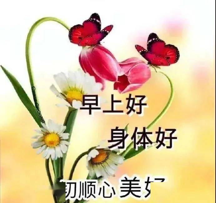 8张创意好看的冬日清晨早上好祝福图片免打字聊天的早安问候祝福语
