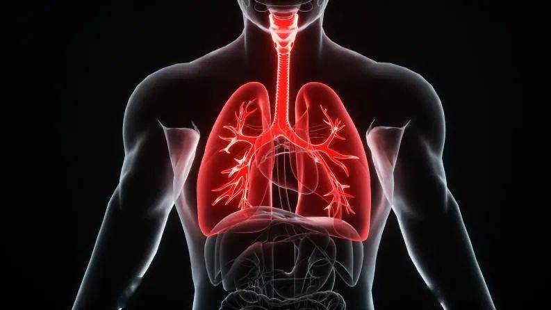 医学|肺康有道 | 老年人居家排痰困难,有效拍背学会了吗?